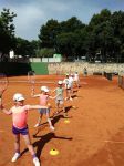 Теннисная школа Чемпион (фото 4)