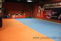спортивная секция кикбоксинга - Бойцовский клуб Пиранья