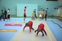 Гимнастический центр International Gym на Нагорной (фото 3)