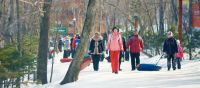 спортивная секция лыжных гонок - Центр зимнего отдыха Комета