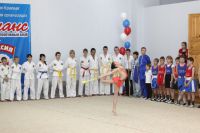 спортивная секция художественной гимнастики - Спортивный центр Динамо-Эланс