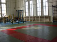 Спортивный комплекс Сибирь (фото 2)