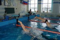 спортивная школа плавания для детей - ДЮСШ Дельфин