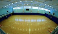 секция баскетбола для подростков - СДЮСШОР №1 Калининского района Санкт-Петербурга