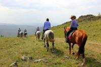 спортивная секция конного спорта - Байкальский конно-туристический центр