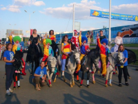 спортивная школа конного спорта для взрослых - Конный театр Ника