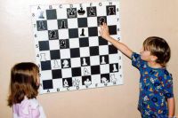 Шахматная школа Chesskids (Гармония)