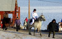Байкальский конно-туристический центр (фото 2)