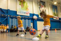 секция мини-футбола для взрослых - Футбольный клуб для дошкольников Футландия (МБУ СОЦ Темп)