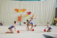 СДЮШОР «Олимпийская» по художественной гимнастике (фото 2)