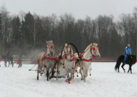 спортивная школа конного спорта для подростков - Конюшня в Ново-Переделкино