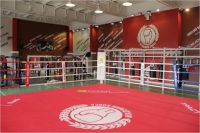 Boxing & Gym (фото 2)