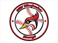 спортивная секция бейсбола - Wild Woodpeckers