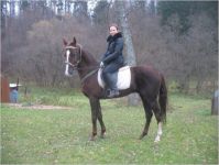 секция конного спорта для взрослых - Конное подворье Дютьково
