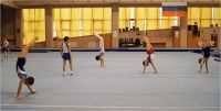 Секция спортивной гимнастики в УСЦ Грация (фото 2)