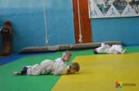 спортивная школа дзюдо для взрослых - Физкультура, игры, единоборства в СК Динамо для детей 3-10 лет
