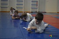 спортивная школа дзюдо для подростков - Физкультура, игры, единоборства в CК Спартак для детей 3-10 лет