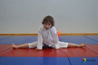 Физкультура, игры, единоборства в CК Спартак для детей 3-10 лет (фото 2)