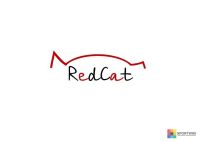 Танцевально - цирковая студия RedCat