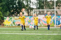 Международная сеть детских футбольных школ Юниор (Гагарина) (фото 3)