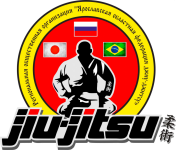 секция смешанных боевых единоборств (MMA) для подростков - Ярославская областная федерация джиу-джитсу
