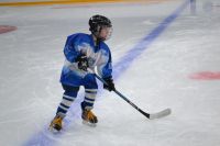 секция хоккея - Хоккейный центр Frost Stick