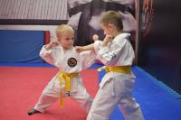 секция смешанных боевых единоборств (MMA) для детей - Каратэ для детей Fire Dragon Club