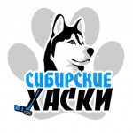 Женский хоккейный клуб «Сибирские хаски»