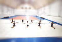 Художественная гимнастика «Орион» (фото 2)