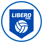 Волейбол для взрослых LIBERO PRO