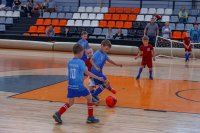 Футбольная школа Юная Лига (Холмогорова)