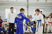 Школа дзюдо «DAVINCI judo» (фото 3)