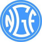 Футбольная школа «NGF»