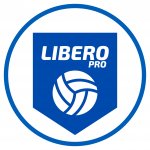 Волейбол для взрослых LIBERO PRO (Динамо) (фото 5)